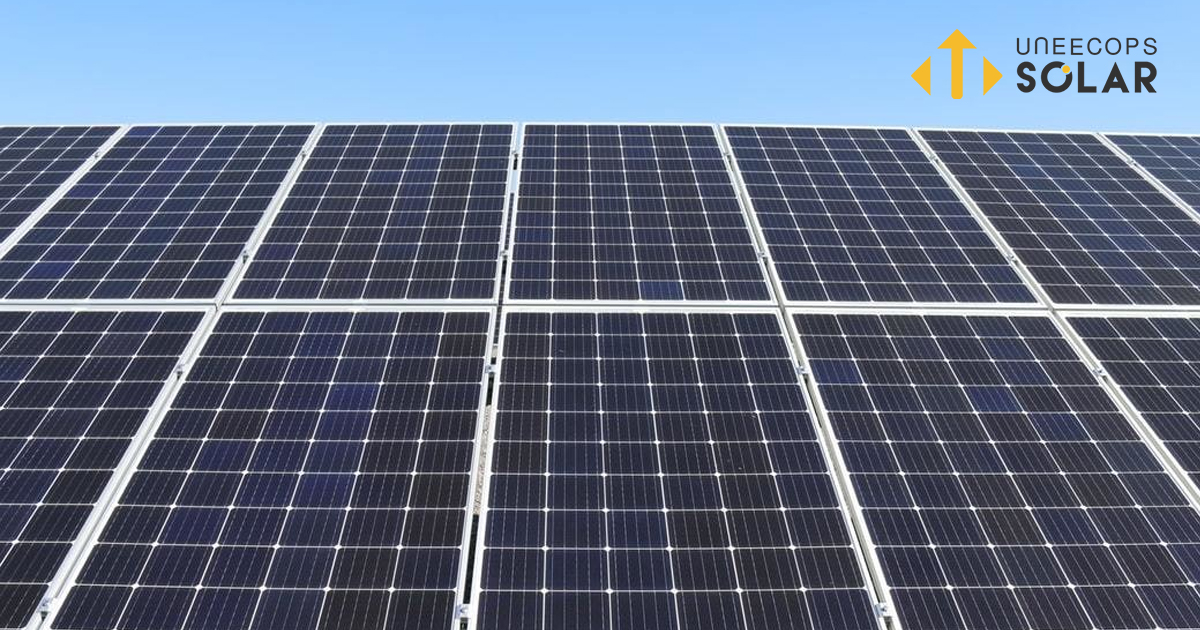 The Top 4 Ways Solar Power Can Strengthen Your Business